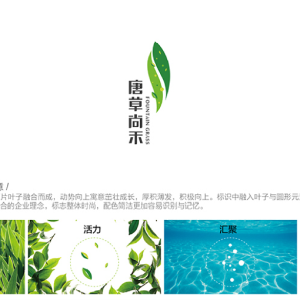 VI系统设计,专注功能饮料，打造饮品新风尚