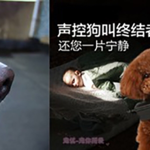 宠物防吠训练器设计，行业洞察下的设计探索