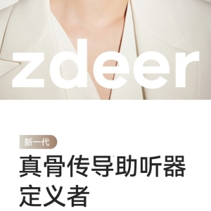 左点 zdeer 骨传导助听器