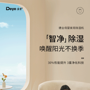 德业 家用母婴除湿机 B12A3