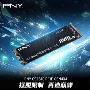必恩威（PNY） CS2340系列 SSD固态硬盘  1TB/2TB