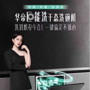 华帝（VATTI）JWV12-A2 巨能洗干态洗碗机