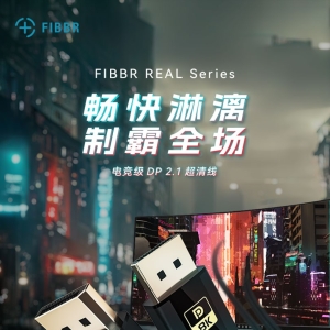 「轻众测」FIBBR 电竞级 DP线2.1
